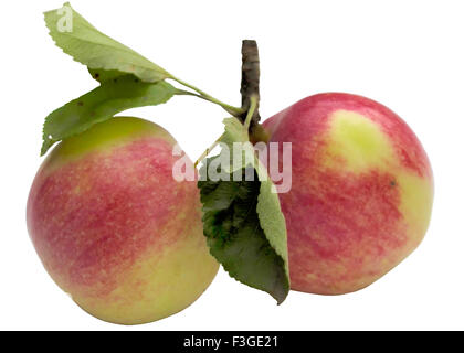 Frutta, sano, Apple, rosso, fresche, cibo, dolce, mangiare, organico, mature. Foto Stock