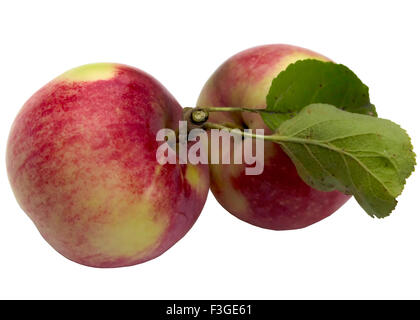 Frutta, sano, Apple, rosso, fresche, cibo, dolce, mangiare, organico, mature. Foto Stock