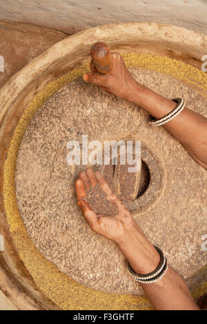 Una donna usando pietra mola per dividere seme di senape prima di mettere in pressione olio di frantoio; Rajasthan ; India Foto Stock