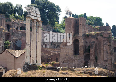 I resti della Basilica Giulia. Foto Stock