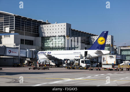 Lufthansa Airbus A319-100 alla porta dell'aeroporto di Francoforte. Foto Stock