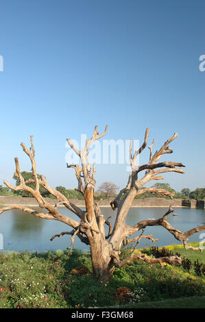 Nuovo giardino a Jahaj Mahal ; Mandu ; Dhar ; Madhya Pradesh ; India Foto Stock