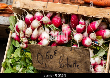 Vista di mazzetti di radicchio con prezzo di etichetta per la vendita al mercato, Francia Foto Stock