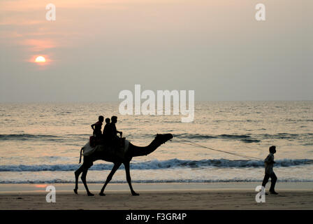 Corsa in Cammello presso la spiaggia di Ganpatipule ; District Ratnagiri ; Maharashtra ; India Foto Stock