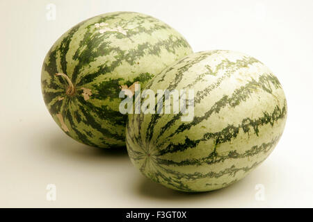 Frutta di cocomero su sfondo bianco, India, Asia Foto Stock