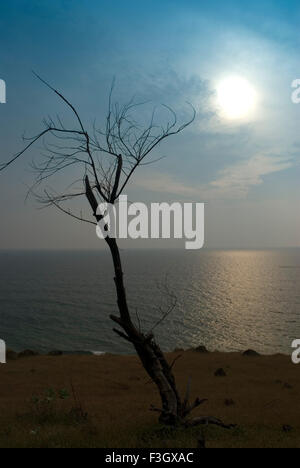 Tramonto a ganpatipule beach ; district Ratnagiri ; stato Maharashtra ; India Foto Stock