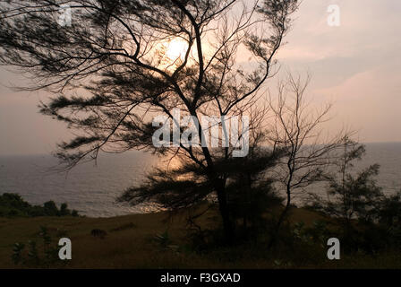 Tramonto a ganpatipule beach ; district Ratnagiri ; stato Maharashtra ; India Foto Stock