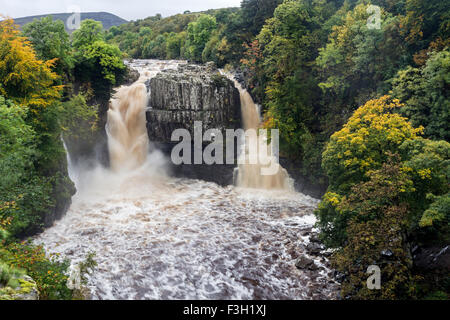 Fiume Tees, forza elevata, superiore Teesdale, nella contea di Durham. Mercoledì 7 ottobre 2015, UK Meteo. Questa è stata la scena a forza elevata questo pomeriggio come heavy rain per tutto il giorno ha causato livelli di fiume a salire nella Contea di Durham. La previsione è che la pioggia chiara da ovest con tutte le parti diventare secca durante la notte. Questo porterà ad una massa di gelo in alcune aree dalla mattina. Credito: David Forster/Alamy Live News Foto Stock