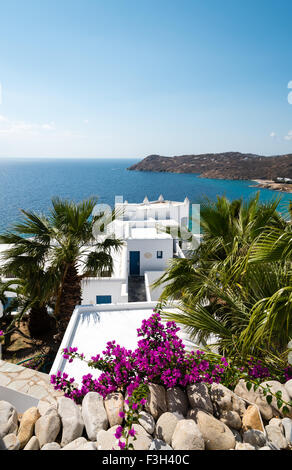 Vista sulla spiaggia di Elia, Mykonos, Grecia Foto Stock