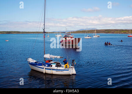 Yoker swan tornando alla porta Foto Stock