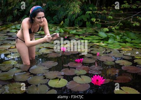 Giovane donna che indossa un bikini in piedi di stagno utilizzando smart phone a fotografare il giglio di acqua (nymphaeaceae) Foto Stock