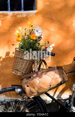 Close up della bicicletta appoggiata contro la parete cottaged con foraggio ceste e fiori di campo Foto Stock