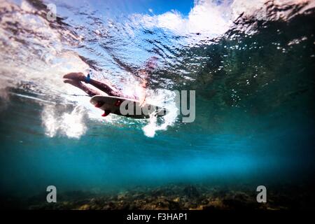 Vista subacquea del surfer paddling attraverso l'oceano per prendere le onde di Bali, Indonesia Foto Stock