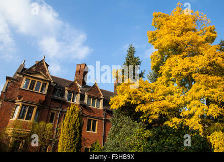 Una Veduta autunnale del Pitt edificio visto dal frutteto al Pembroke College di Cambridge, UK. Foto Stock