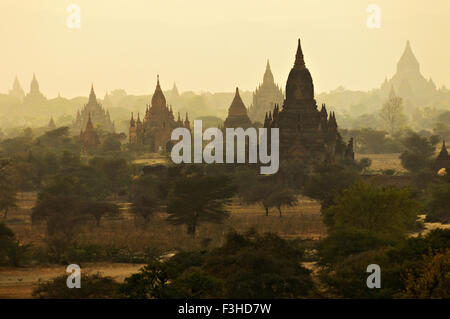 Vista su numerosi templi buddisti di Bagan al tramonto, Mandalay Regione, Myanmar Foto Stock