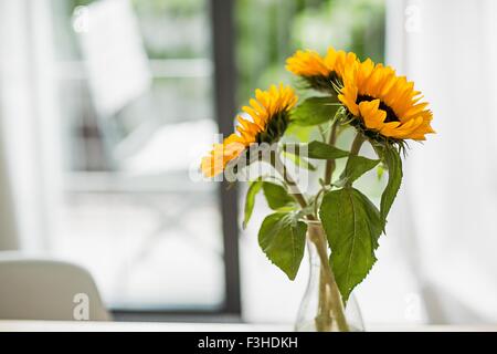 Vaso con girasoli in salotto Foto Stock