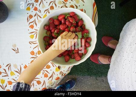 Vista aerea di ragazzi mano prelievo di fragole fresche dalla vaschetta Foto Stock