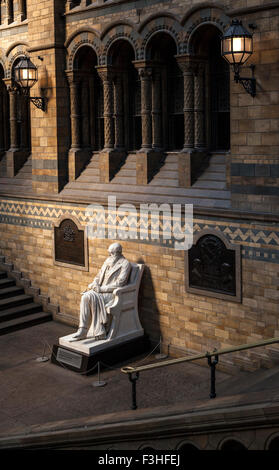 LONDON, Regno Unito - 1 Ottobre 2015: la statua di Charles Darwin nel Museo di Storia Naturale di Londra, il 1 ottobre 2015. Foto Stock