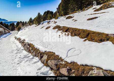 Amore frasi scritte nella neve con verde di conifere in background sulle Alpi Dolomitiche: mi manchi, hughs e baci, cuore Foto Stock