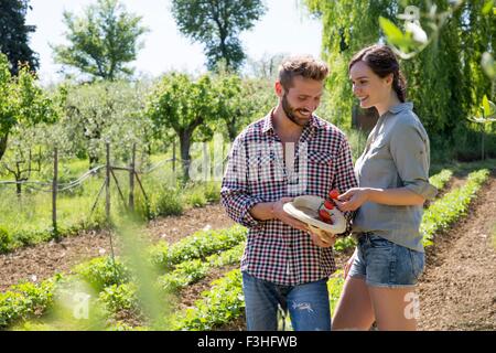 Matura in un orto di mettere i pomodori in hat sorridente Foto Stock