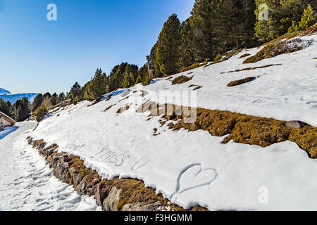 Amore frasi scritte nella neve con verde di conifere in background sulle Alpi Dolomitiche: mi manchi, hughs e baci, cuore Foto Stock