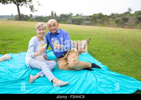 Ritratto di coppia senior con picnic nel parco, tenendo bicchieri di vino Foto Stock