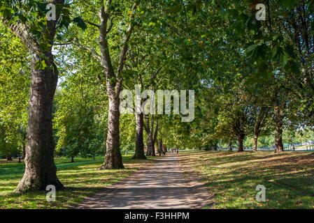 Una vista nel bellissimo Hyde Park nel centro di Londra. Foto Stock