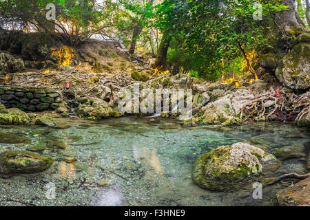 La bellissima Valle del sette molle 'Epta Piges' alla naturale attrazione sull'Isola di Rodi, Dodecanneso, Grecia Europa Foto Stock