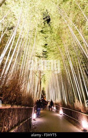 Kyoto, Arashiyama. La gente a piedi attraverso le famose illuminato torreggianti boschetto di bambù durante l'inverno Hanatoure light festival. Foto Stock