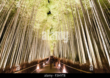 Kyoto, Arashiyama. La gente a piedi attraverso le famose illuminato torreggianti boschetto di bambù durante l'inverno Hanatoure light festival. Foto Stock