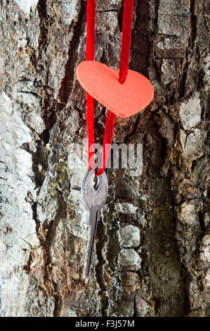 Il tasto pendente da un cuore su una corteccia di albero Foto Stock