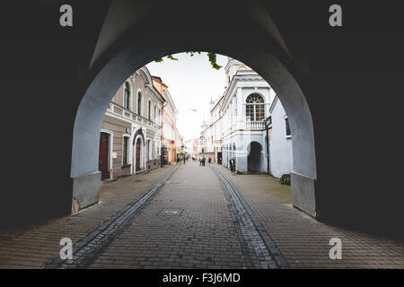 Via Ausros gate (dell'alba) con la basilica della Madonna Ostrobramska a Vilnius, Lituania Foto Stock