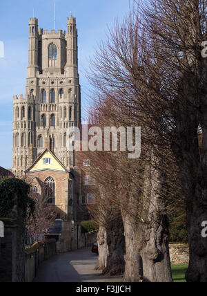 Torre ovest della Cattedrale di Ely nel Cambridgeshire, Inghilterra, Regno Unito. Visto da sud con un cielo blu. Foto Stock