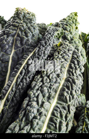 Cavolo nero, italiano Kale, cavolo nero Cavolo nero isolato su bianco Foto Stock