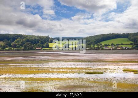 Dawlish Warren Riserva Naturale, Devon, Inghilterra. Foto Stock