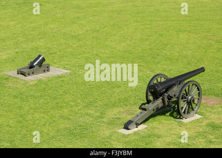 Una fotografia di alcuni cannoni all'interno di Fort Pulaski monumento nazionale a Savannah, Georgia. Foto Stock