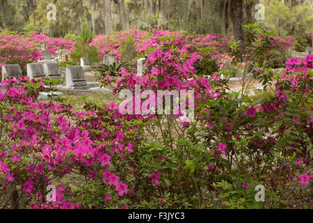 Un colorato fotografia di alcuni fiori e lapidi nel cimitero Bonaventura a Savannah, Georgia. Foto Stock