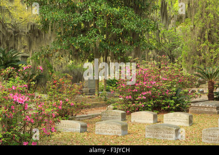 Un colorato fotografia di alcune lapidi nel cimitero Bonaventura a Savannah, Georgia. Foto Stock