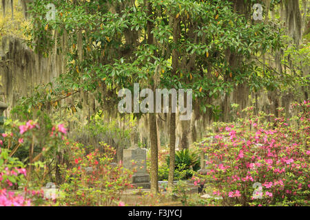 Un colorato fotografia di alcune lapidi nel cimitero Bonaventura a Savannah, Georgia. Foto Stock