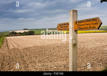 Regno Unito, Inghilterra, Yorkshire East Riding, Wharram Percy, Wolds Way sentiero attraversando campi per Wharram le Street Foto Stock