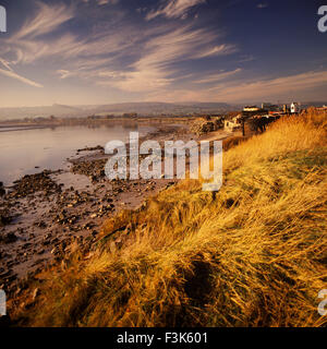 Fiume Severn north bank, Gloucestershire Foto Stock