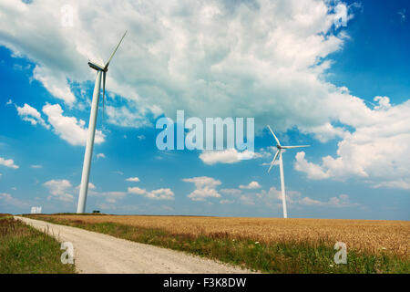 I generatori eolici turbine sul campo di grano in Romania Foto Stock