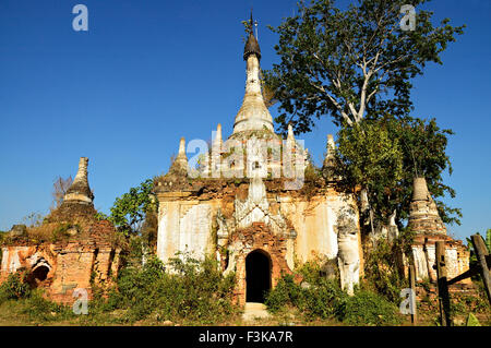 La pagoda non ripristinati perso nella vegetazione a Sagar, a sud del Lago Inle, Stato Shan, Myanmar Foto Stock