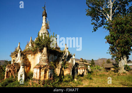 Le rovine di una pagoda perso nella vegetazione a Sagar, a sud del Lago Inle, Stato Shan, Myanmar Foto Stock