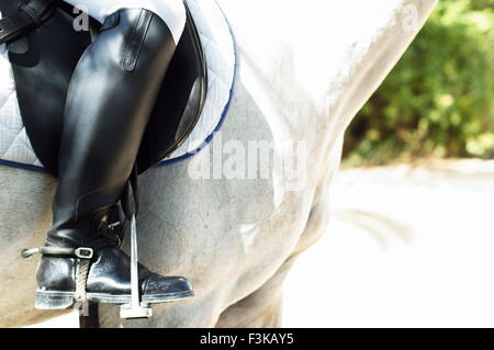 Dressage cavaliere a cavallo con stivali neri Foto Stock