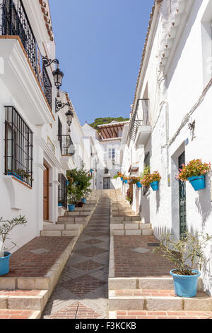 Blue plantpots contro pareti imbiancate sulla stretta strada ripida in Mijas, Andalusia, Spagna Foto Stock