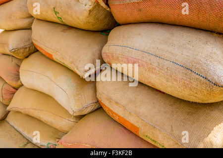 Pila di sacchi di caffè colombiano, Manizales (Colombia) Foto Stock
