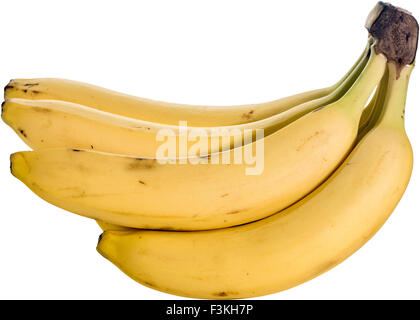 Grappolo di banane isolato su sfondo bianco Foto Stock