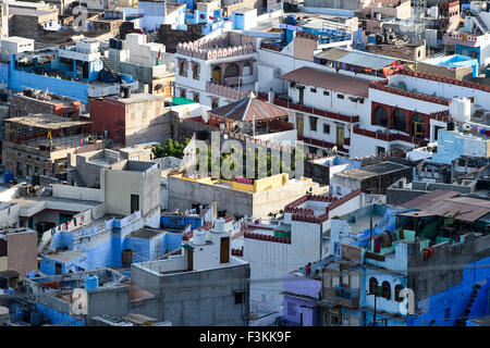 Vista di Jodhpur la città blu, dal Forte Mehrangarh, Rajasthan, India Foto Stock