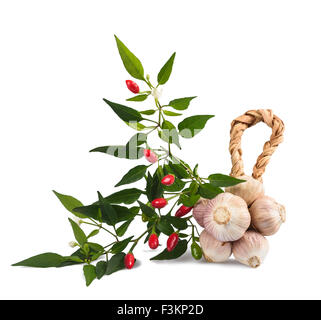 Il peperoncino rosso e aglio isolati su sfondo bianco Foto Stock